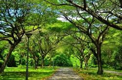 Avila Gardens (D17), Condominium #488407921